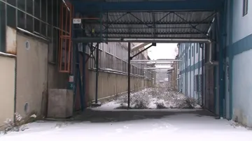 Zaměstnanci stále věří, že se do své původní práce vrátí