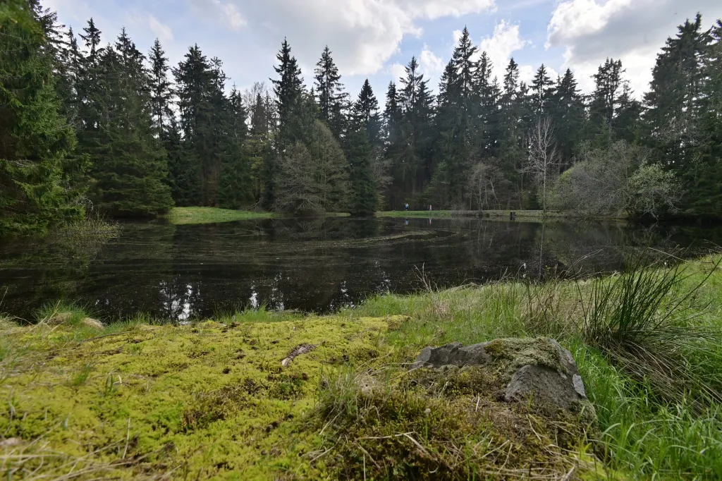 Území CHKO Slavkovský les náleží z větší části do povodí Ohře, z menší části do povodí Mže a Střely. Hlavním odvodňovacím tokem území CHKO je pak řeka Teplá