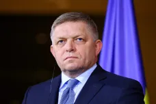Slovensko se odklání od základních hodnot, česká vláda nemá vůli posilovat nadstandardní vztahy, říká Dvořák