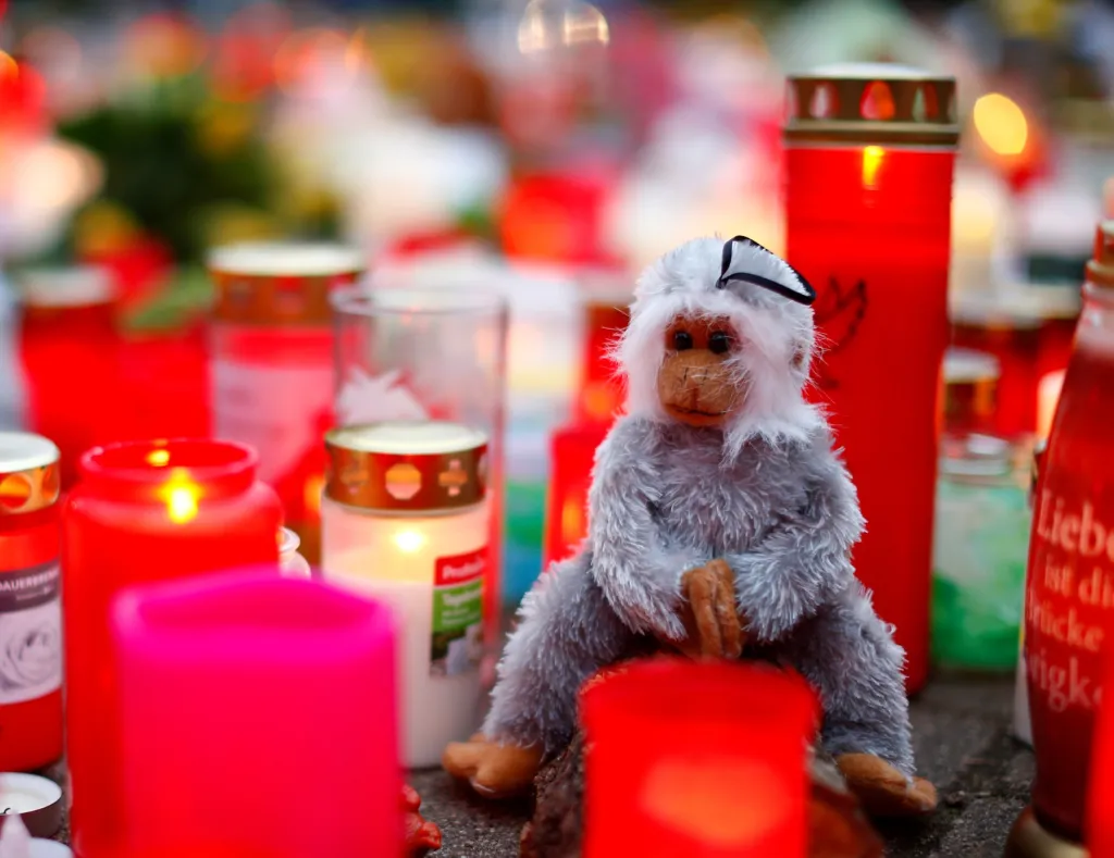 Velmi smutný začátek nového desetiletí zasáhl německou zoologickou zahradu v Krefeldu, kde následkem požáru uhynulo několik zvířat včetně velkých primátů
