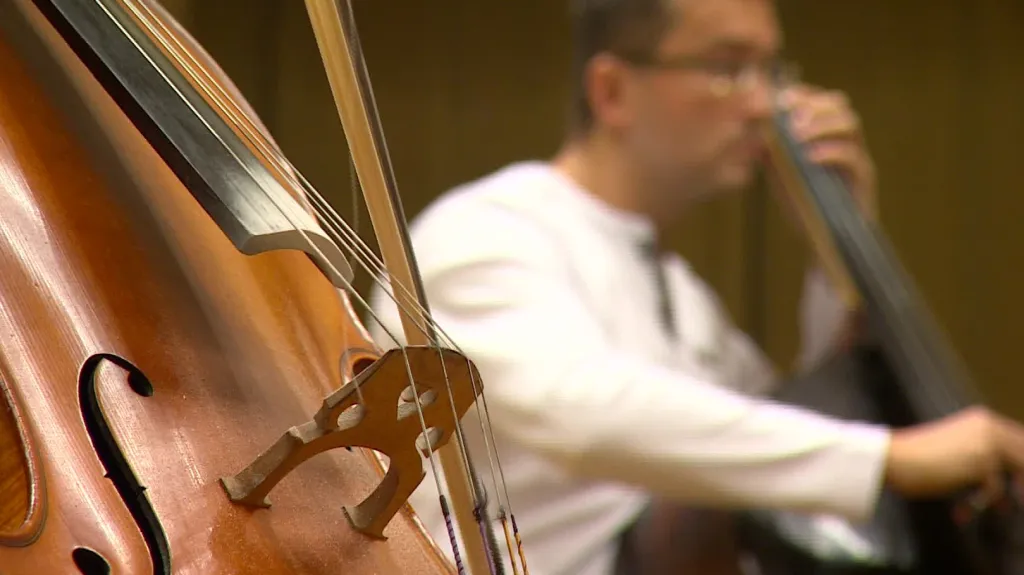 Na koncertě vystoupí dvanáct violoncellistů