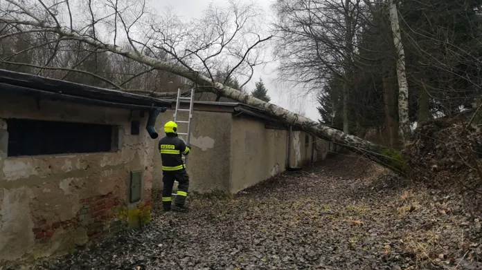 Hasiči v Karlovarském kraji zasahovali například v Horním Slavkově, kde spadl strom na řadové garáže