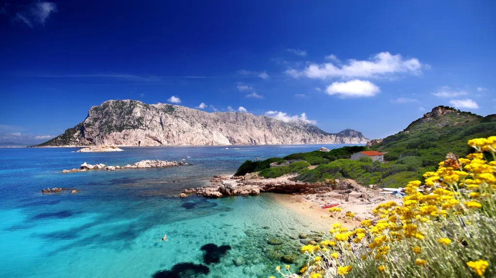 Sardinie