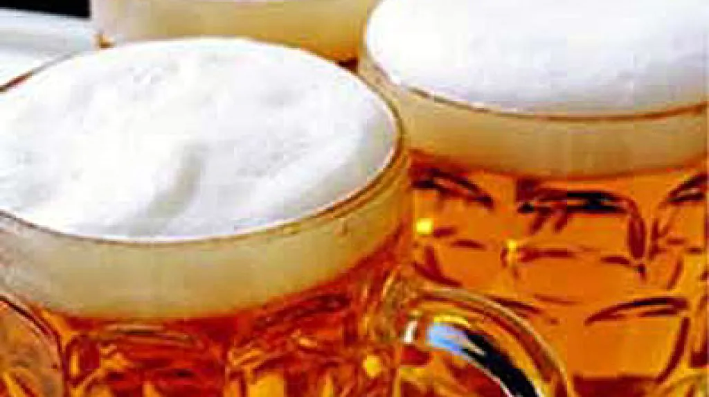Pivo