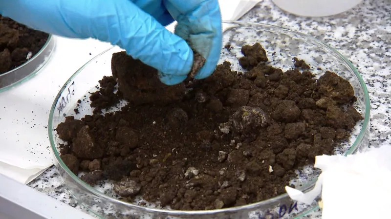 Materiál je podle odborníků možné spálit