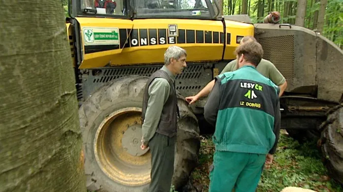 Pracovníci Lesů ČR