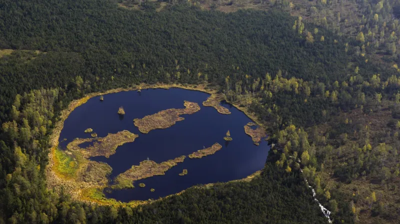 Chalupská slať na Šumavě