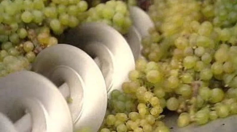 Reportáž Víta Krčmáře