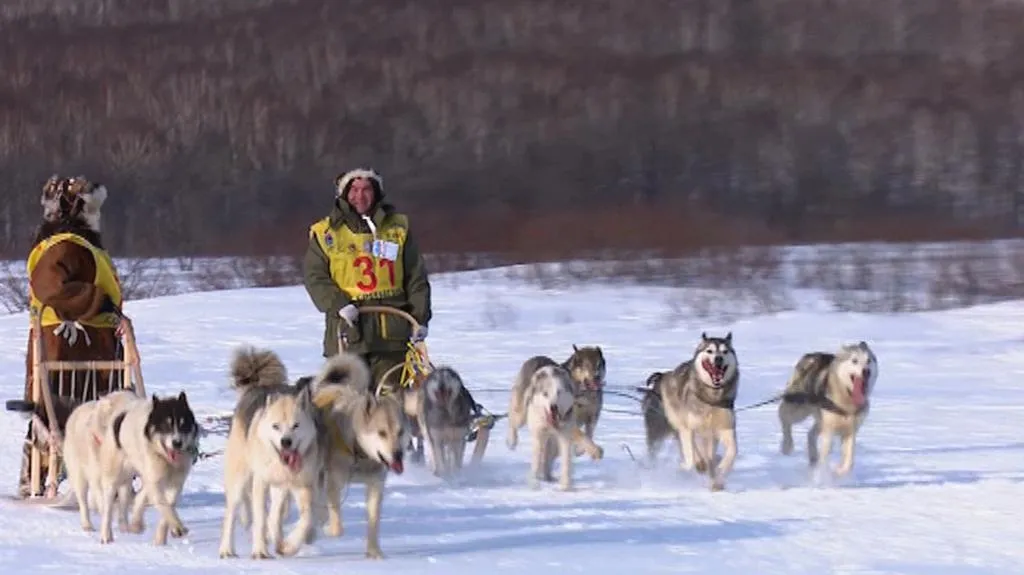 Spřežení se vydala napříč Kamčatkou