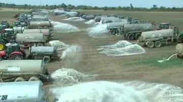 Vylévání mléka na pole