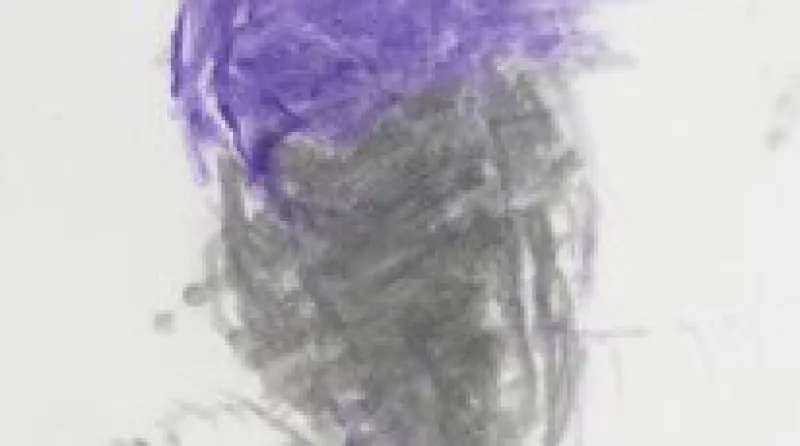 Dílo Adriany Šimotové