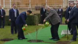 Miloš Zeman a Si Ťin-pching zasadili strom