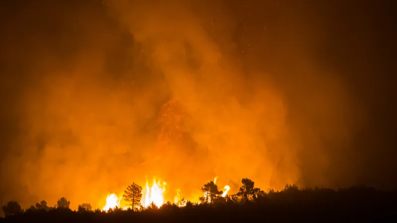 Lesní požár na chorvatském poloostrově Pelješac