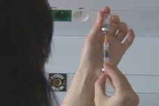 O úhradě vakcíny proti černému kašli pro dospělé se rozhodne nejdřív v červnu