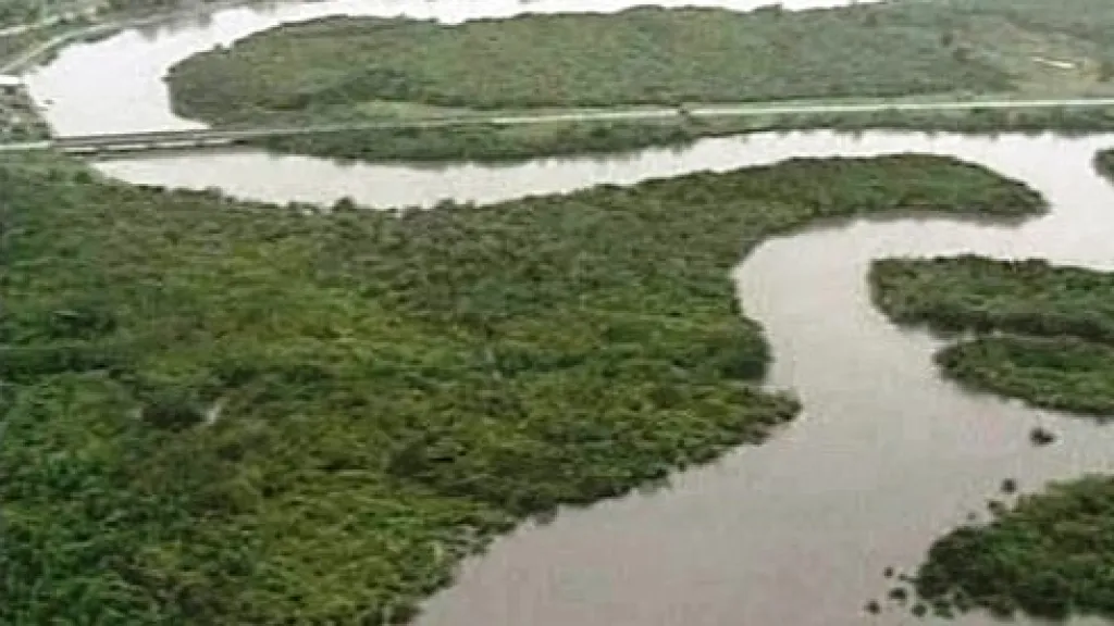 Delta řeky Niger