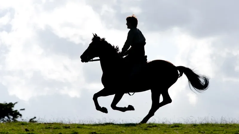 Válečný kůň / Jeremy Irvine