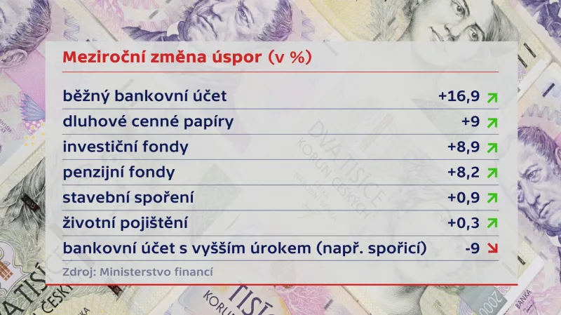 Meziroční změna úspor