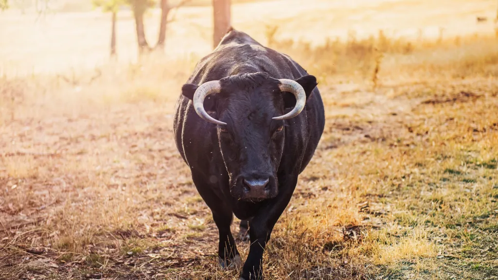 Ilustrační fotografie