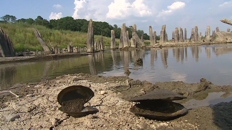 Tajemné kůly u Mikulčic