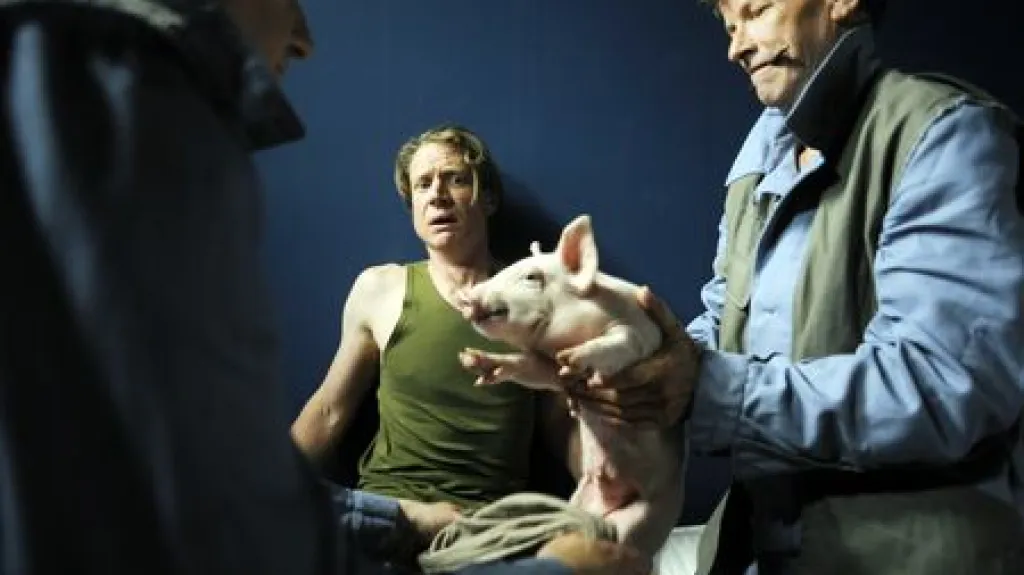 Ultima Vez / Monkey Sandwich