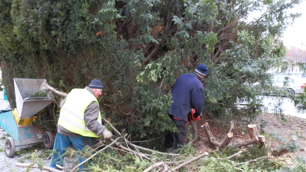 Pomník Mistra Jana Husa v Lounech - úpravy okolí
