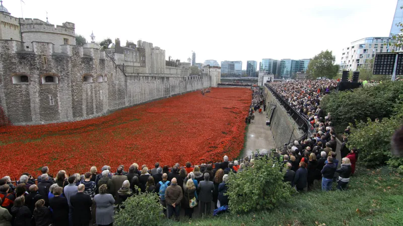 Vlčí máky u londýnského Toweru