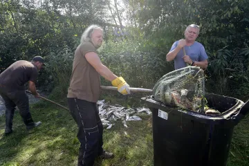 Pět let od otravy Bečvy. Soudy ukázaly na firmu Energoaqua, trest jí ale neuložily
