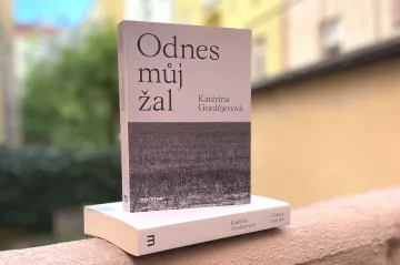 Ruská novinářka vyzpovídala Ukrajince poznamenané válkou. Měla jsem noční můry, přiznává