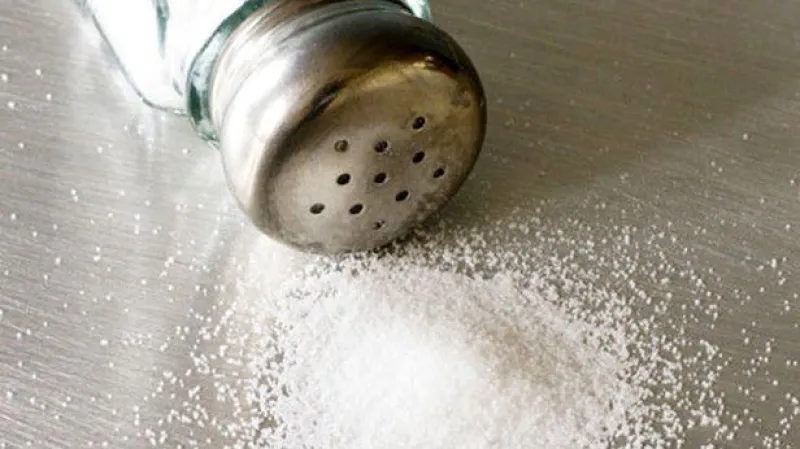 Reportáž Zuzany Luňákové