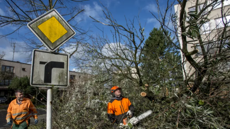 Pracovníci Technických služeb Hradce Králové odstraňují spadlý strom v městské části Malšovice,  Autor: Taneček David,  Zdroj: ČTK