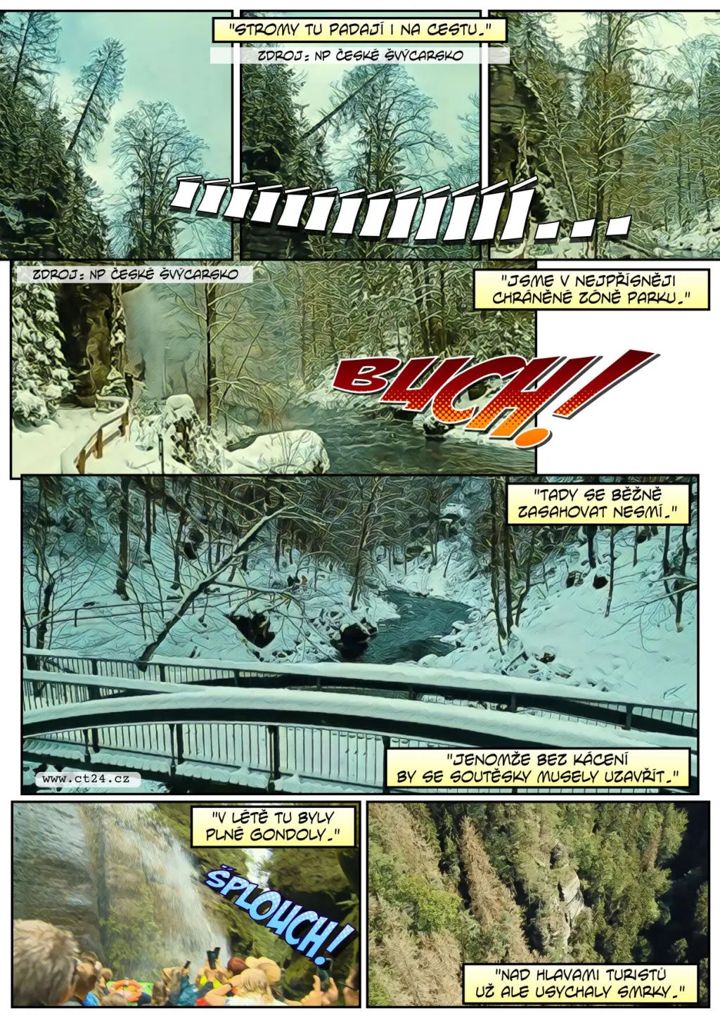 Lesníci se vydali pokácet mrtvé stromy