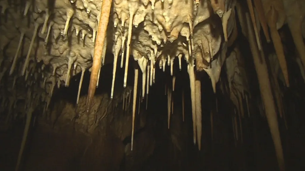 Jeskyně skrývá všechny druhy krápníků z Moravského krasu