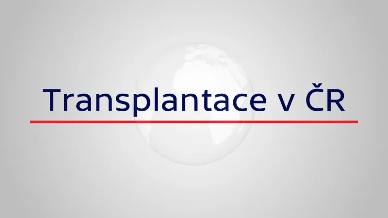 Transplantace v ČR