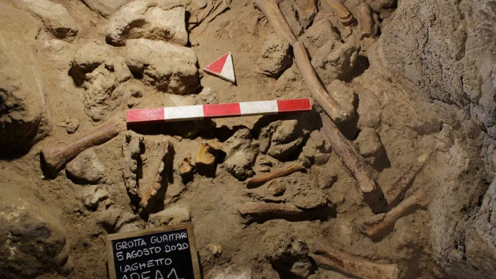 Kosti neandertálců z jeskyně Guattari