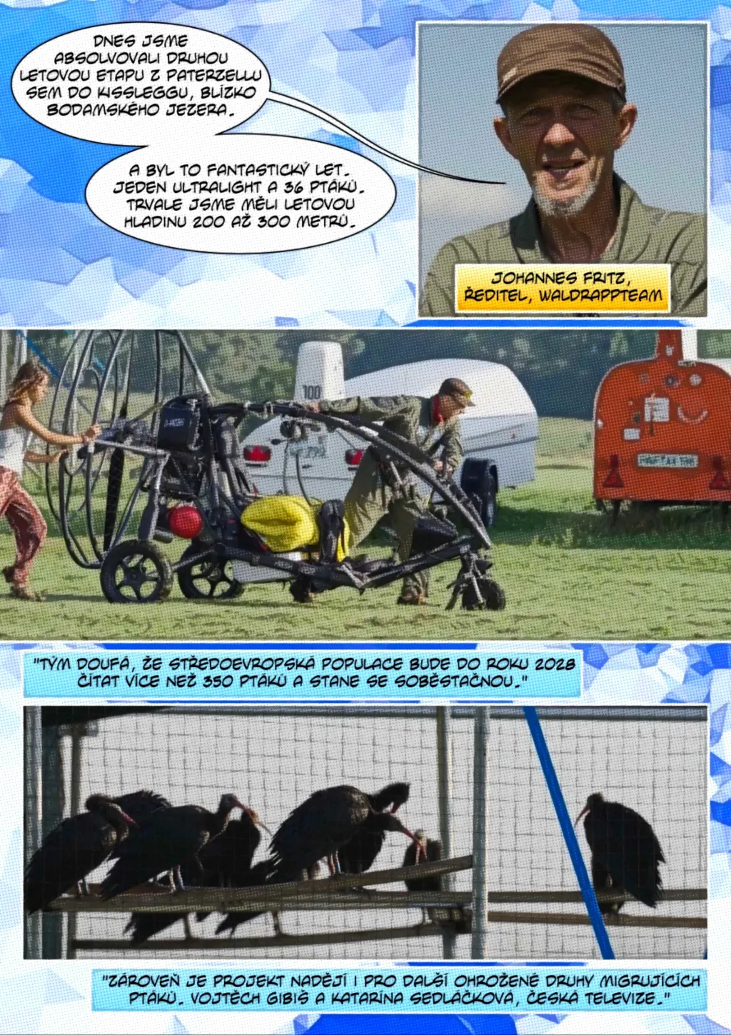 Ohrožený ibis skalní se učí migrační trasy