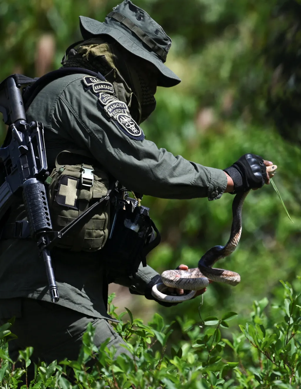 Bolivijský voják odnáší hada
