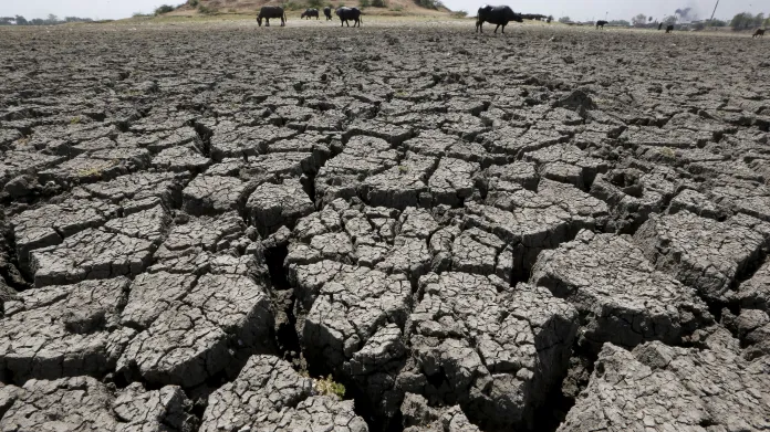 Katastrofální vedro a sucho v Indii. Podle mnohých jeden z projevů klimatické změny