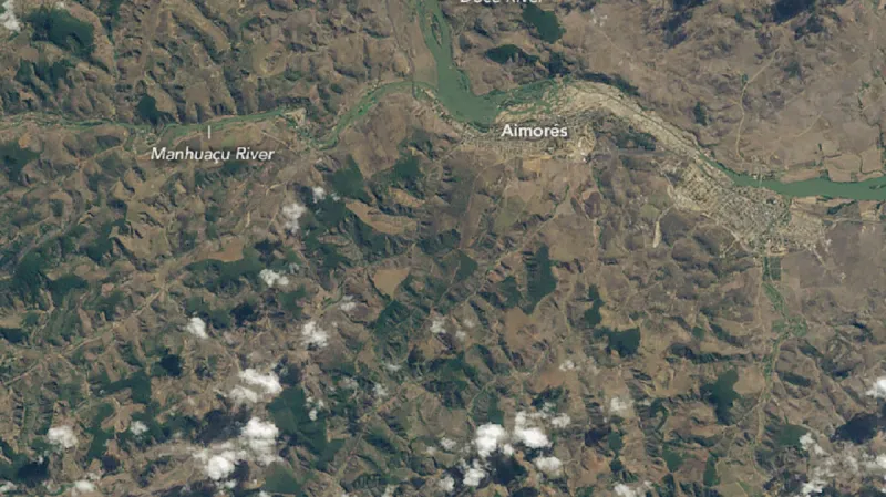 Zalesňování Mata Atlântica