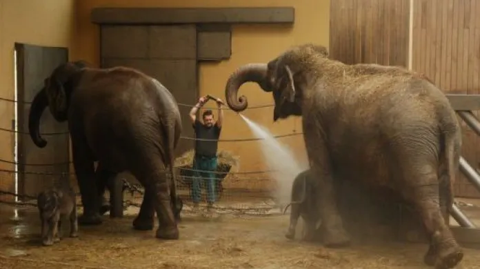 Rozhovor s mluvčí ostravské ZOO Šárkou Kalouskovou