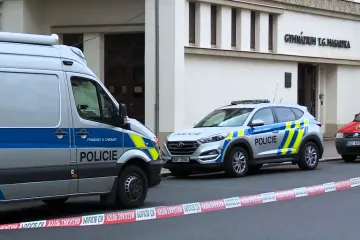 Muži, který vnikl na gymnázium v Litvínově, soud vyměřil dva roky vězení
