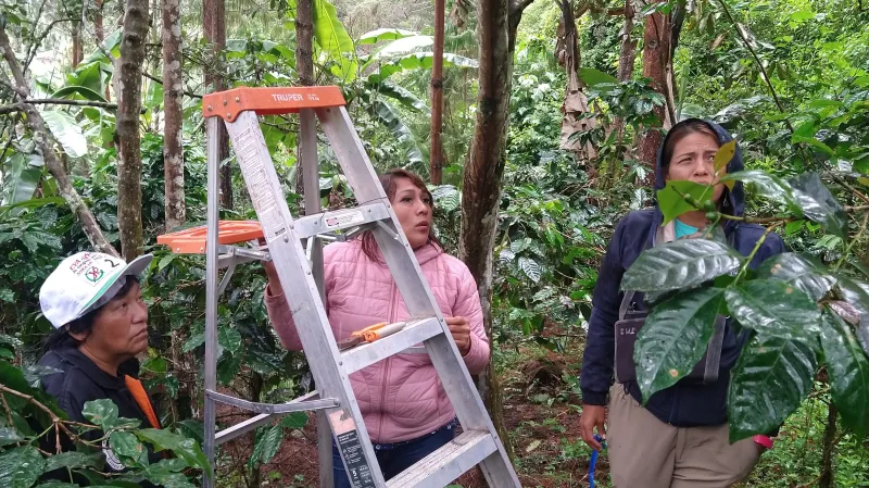 Instalace přístroje Minikin pro měření vlhkosti a teploty vzduchu v Peru