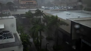 Vítr a déšť otřásají palmami v důsledku hurikánu Beryl procházejícím Jamajkou