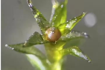 Mech přežil smrtící kosmickou prázdnotu devět měsíců, ukázal japonský experiment