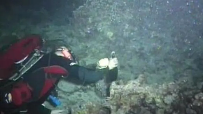 Potápěči ukládají sekty na mořské dno