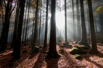 Letošní podzim byl mezi desetinou nejteplejších za 247 let