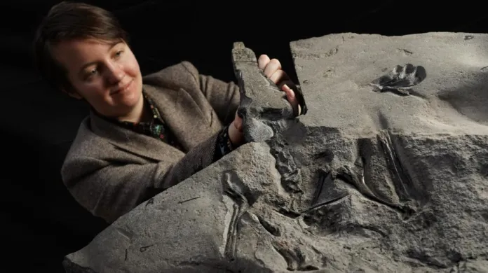 Autorka objevu Natalia Jagielska s fosilií pterosaura