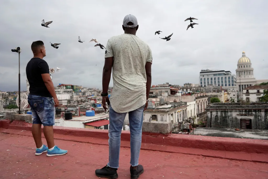 Kubánci si našli nový druh zábavy v chovu holubů. Hlavním důvodem je částečná možnost úniku před pandemií koronaviru