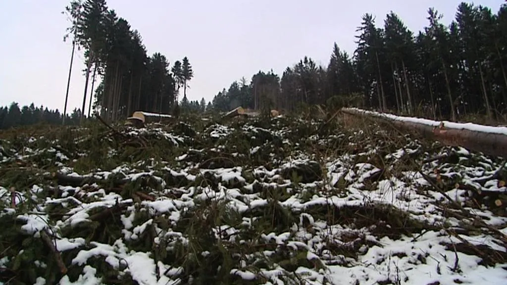 Paseka nad Brnířovem