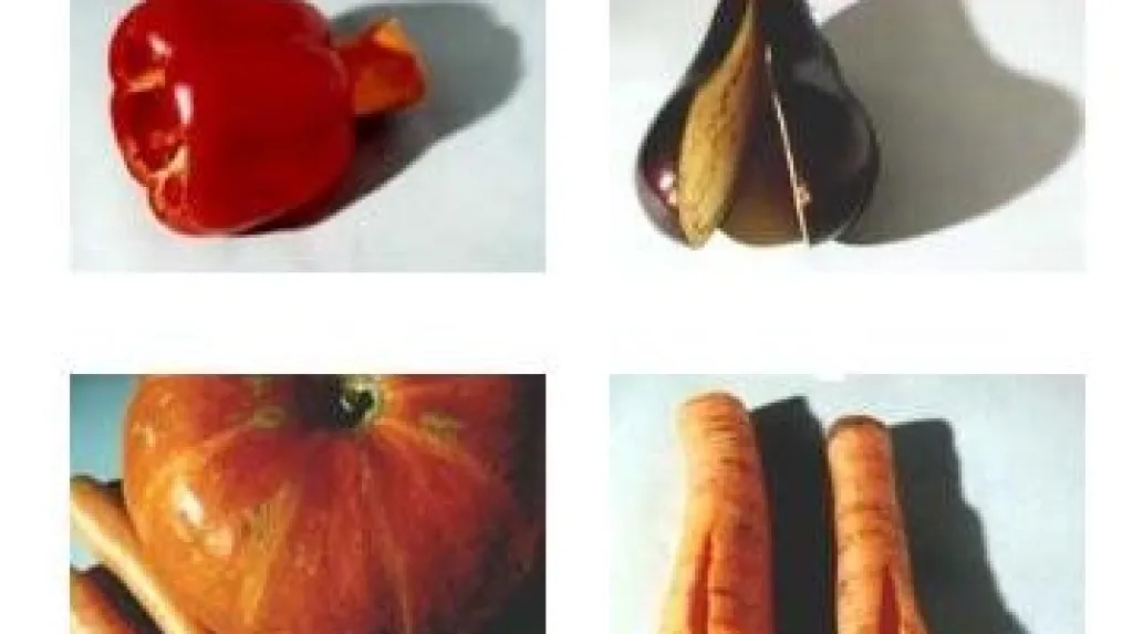 Hudební nástroje ze zeleniny