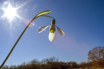 Začalo meteorologické jaro. Jarní teploty ale do Česka hned tak nedorazí